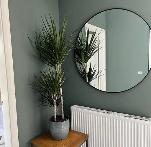 3 Bed Vip Family House *